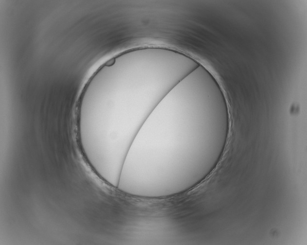 X0000113991056200910231725