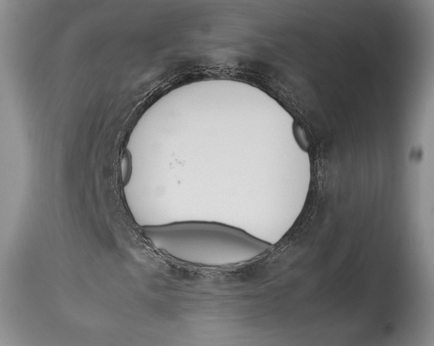 X0000113991057200910231725