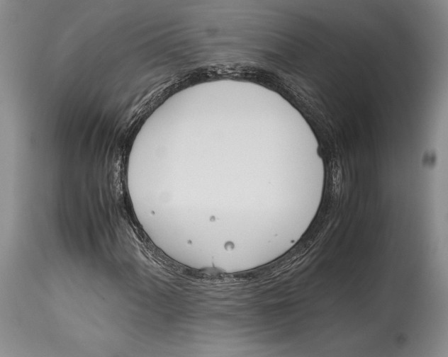 X0000113991060200910231725