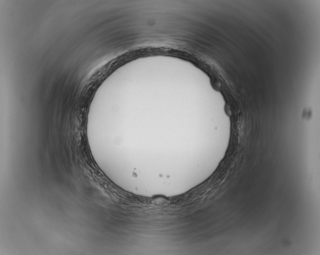 X0000113991064200910231725