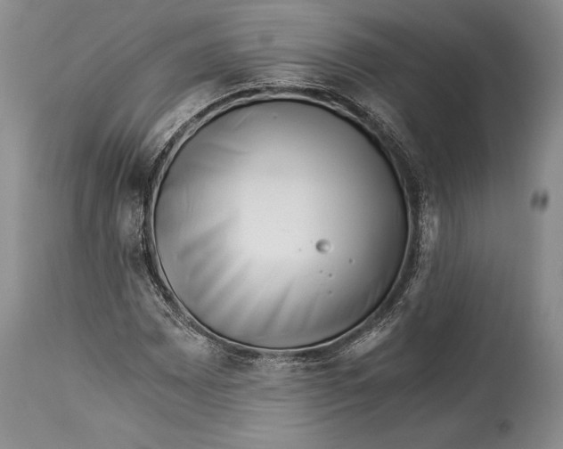 X0000113991065200910231725