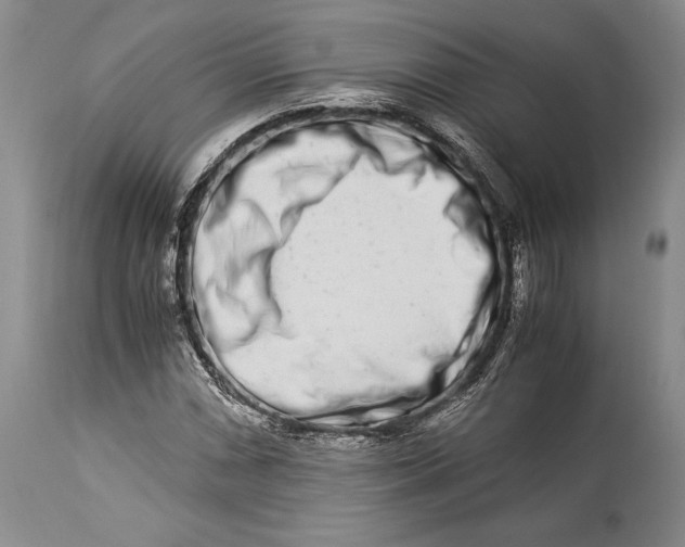 X0000113991066200910231725