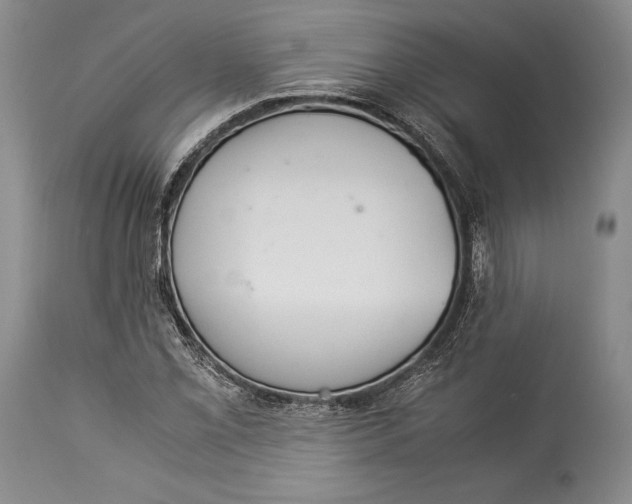 X0000113991069200910231724