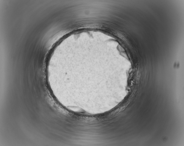 X0000113991071200910231724