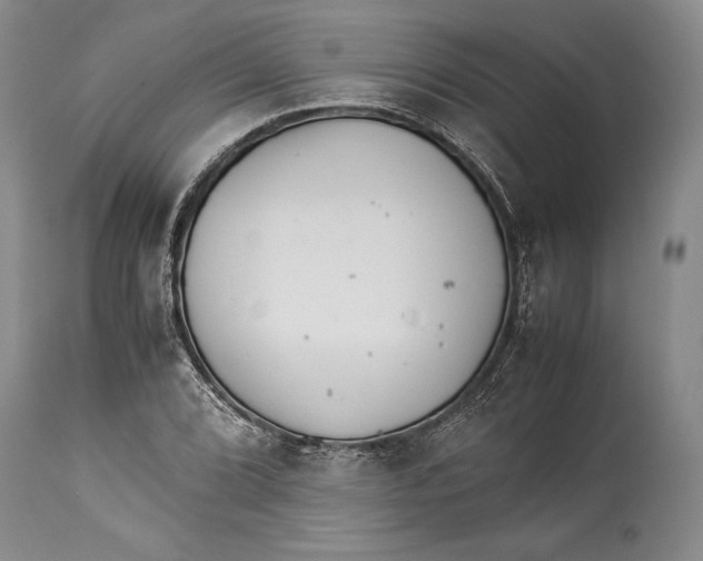 X0000113991072200910231724