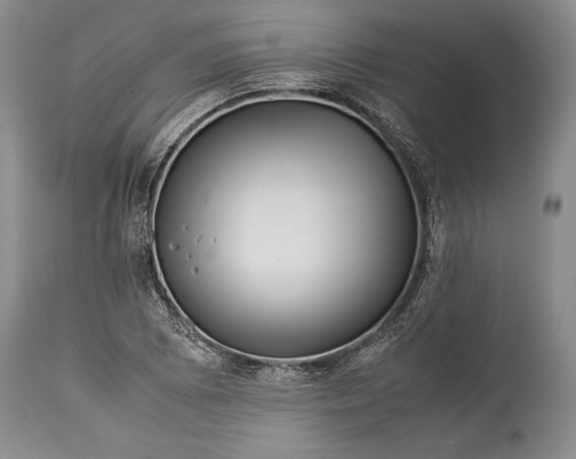 X0000113991073200910231724