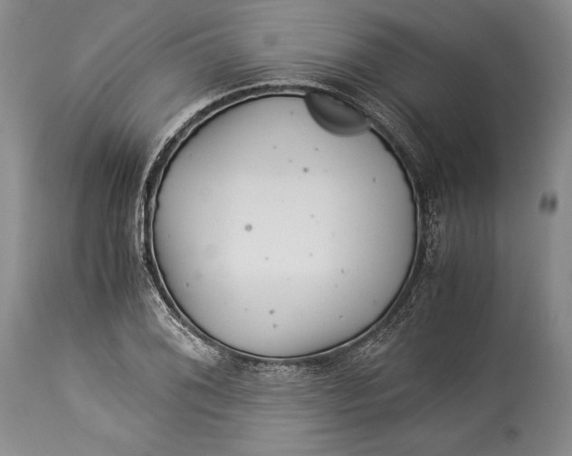 X0000113991076200910231724