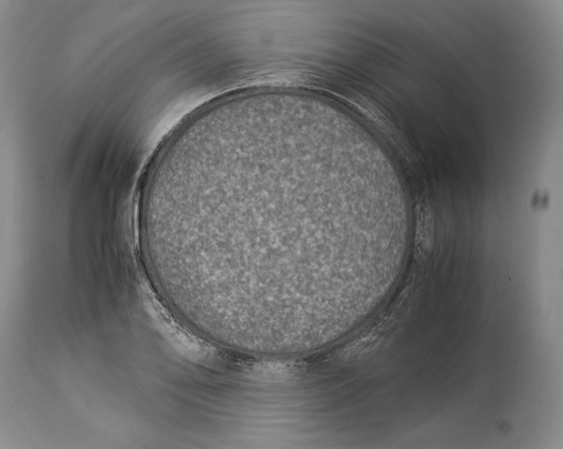 X0000113991078200910231724