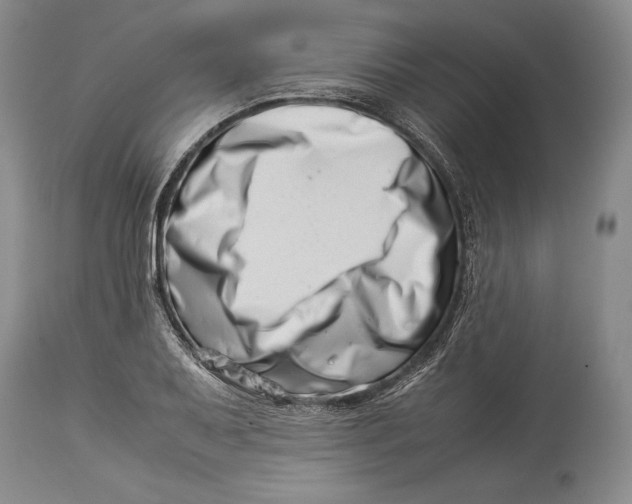 X0000113991079200910231724