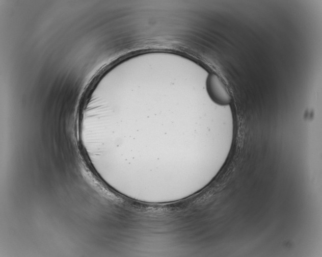 X0000113991080200910231724