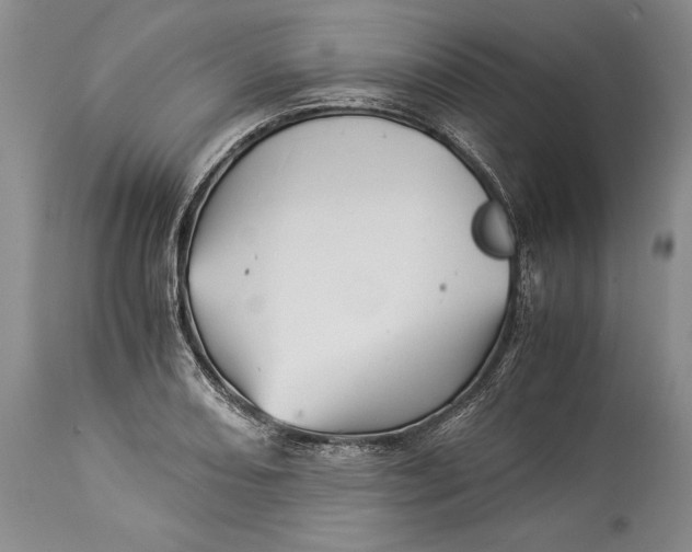 X0000113991082200910231724