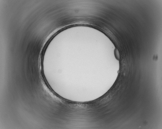 X0000113991084200910231724