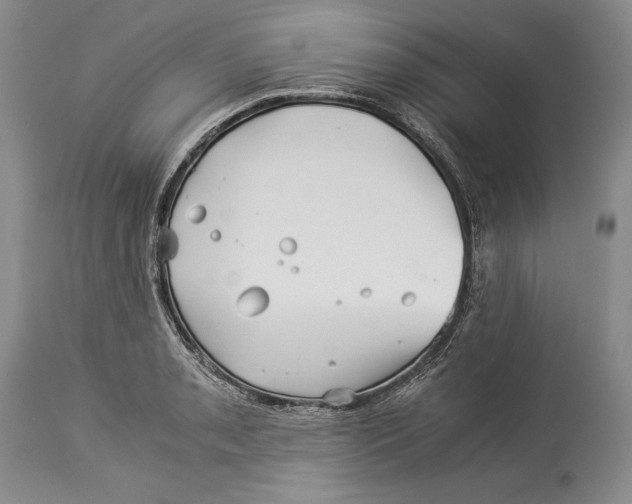 X0000113991085200910231724