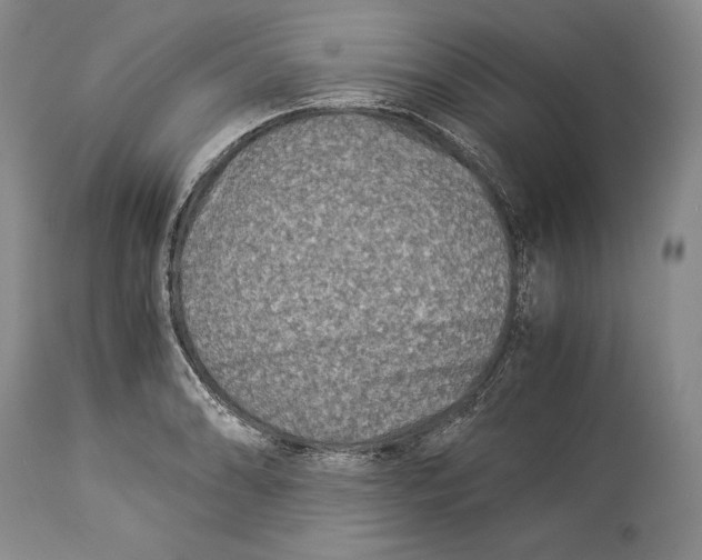 X0000113991086200910231724