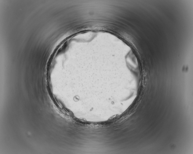 X0000113991087200910231724