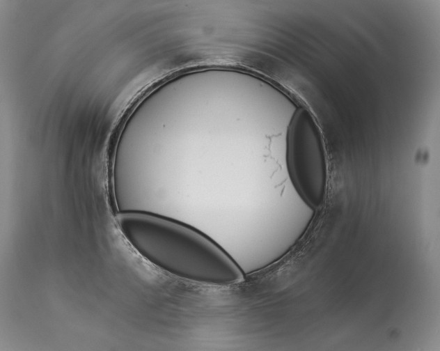 X0000113991088200910231724