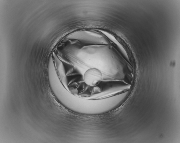 X0000113991089200910231724