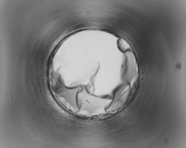 X0000113991091200910231724