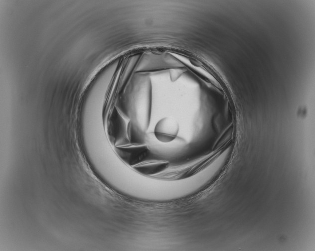 X0000113991093200910231724