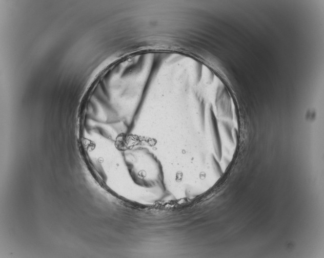 X0000113991095200910231724