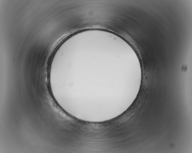 X0000113991096200910231724