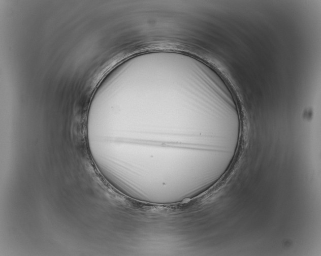 X0000113991097200910231724