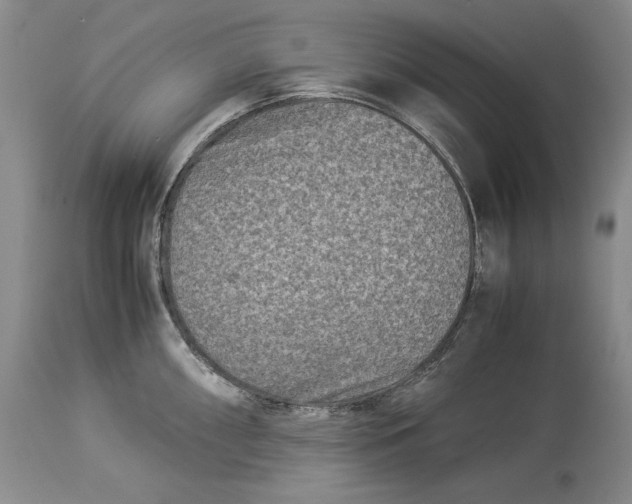 X0000113991098200910231724