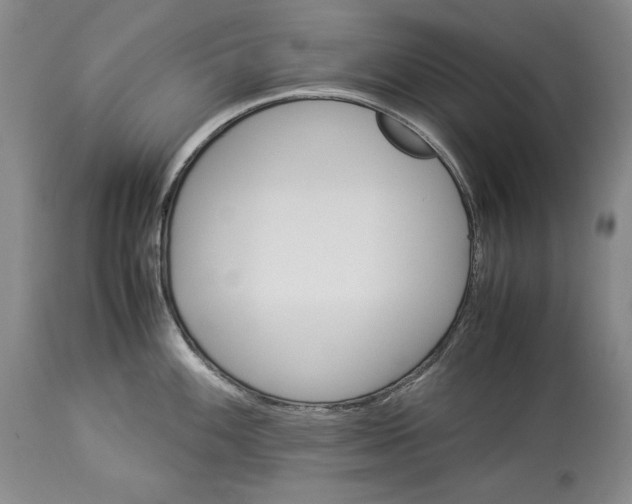 X0000113991100200910231724