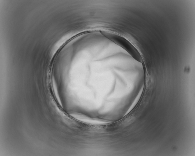 X0000113991101200910231724