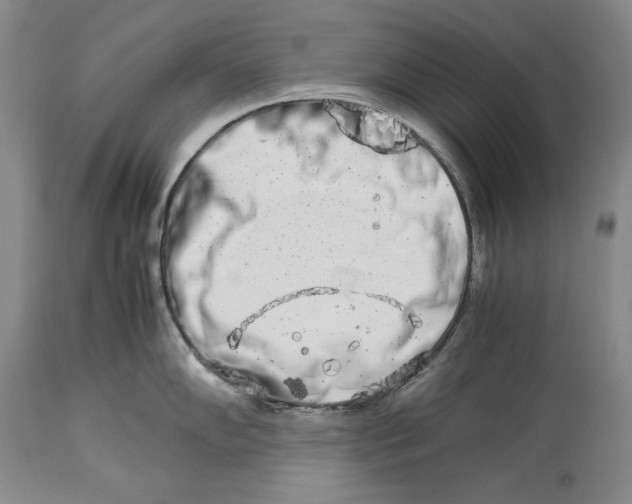 X0000113991102200910231724