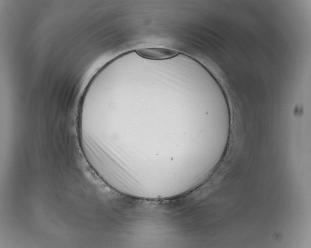 X0000113991104200910231724