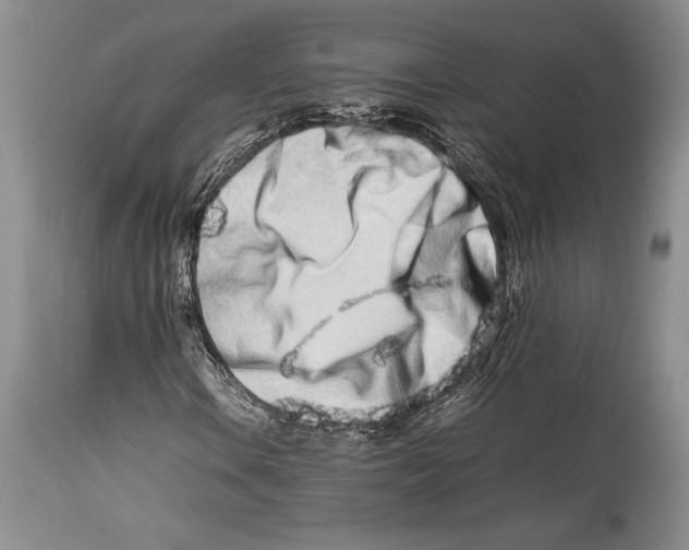 X0000113991106200910231723