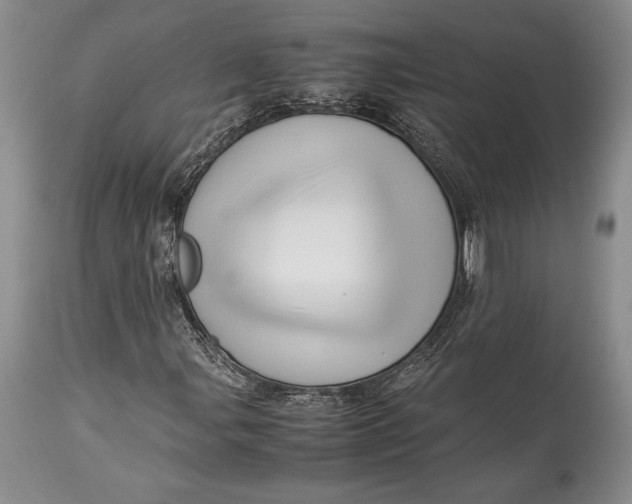 X0000113991107200910231723