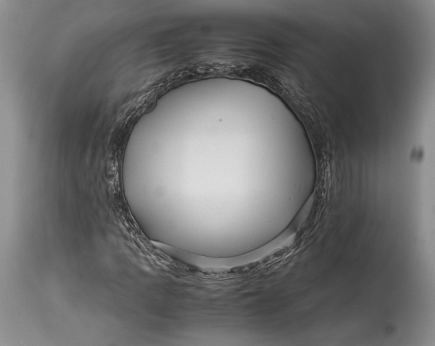 X0000113991109200910231723