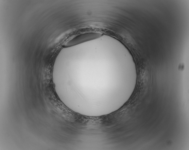 X0000113991110200910231723