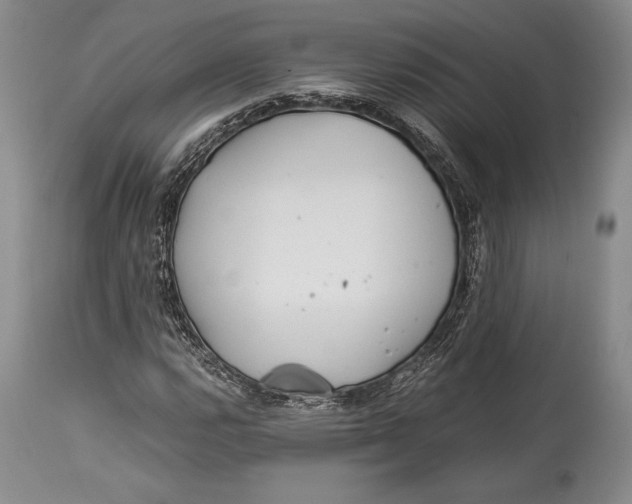 X0000113991112200910231723