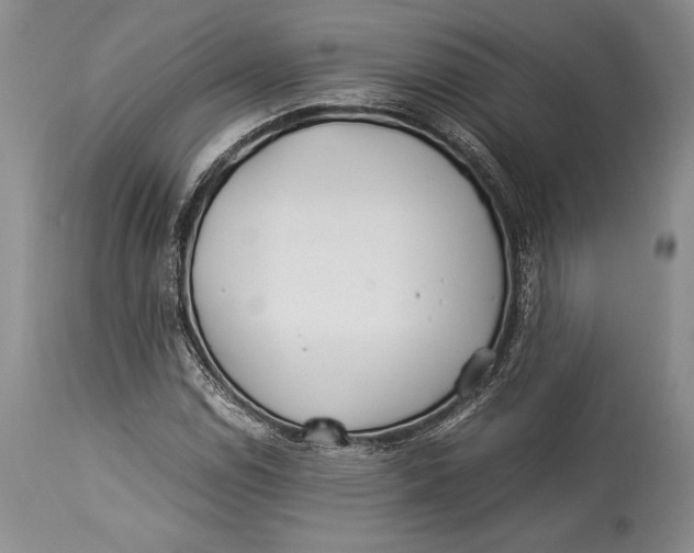 X0000113991114200910231723