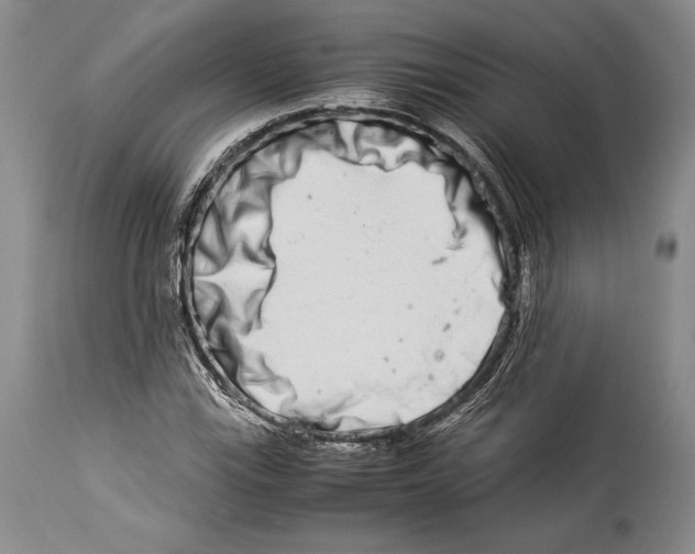 X0000113991115200910231723