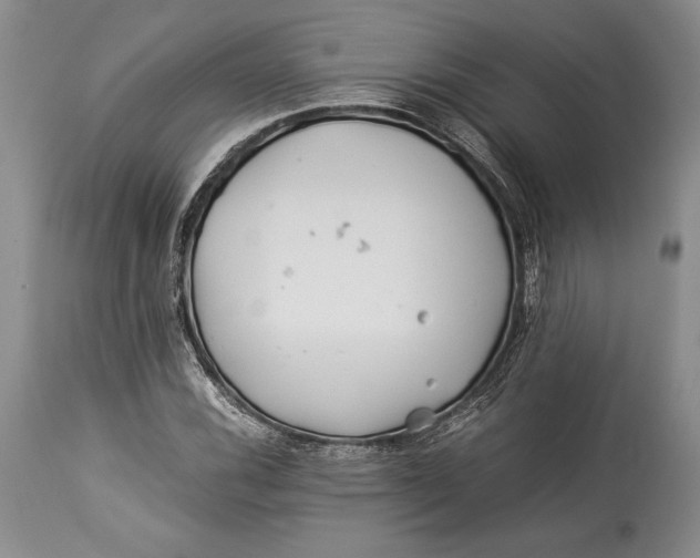 X0000113991116200910231723