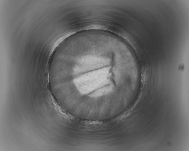 X0000113991117200910231724