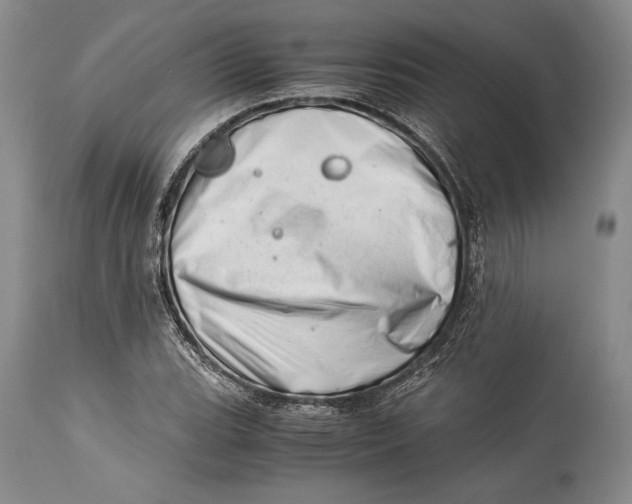 X0000113991119200910231724