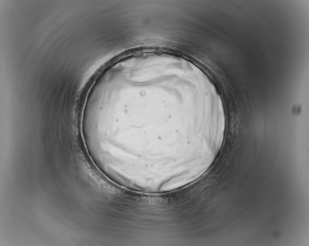 X0000113991120200910231724