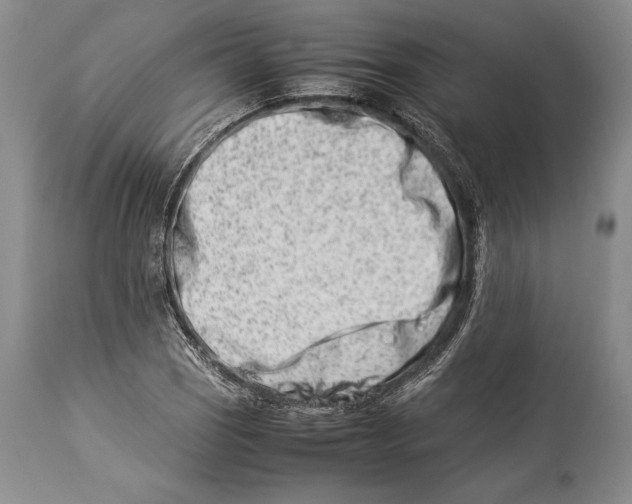 X0000113991121200910231724