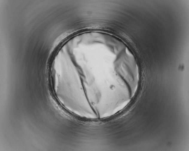 X0000113991122200910231724