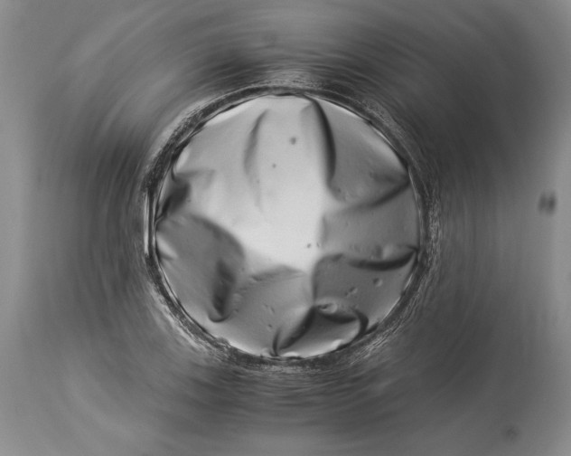 X0000113991123200910231724