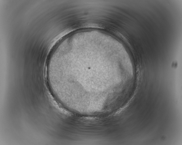 X0000113991125200910231724