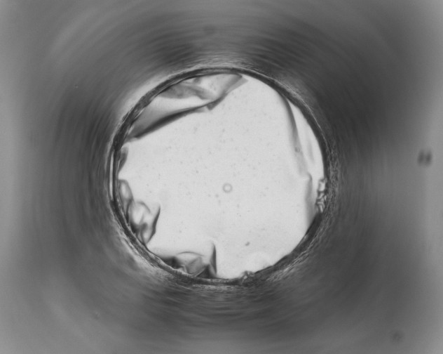 X0000113991127200910231724