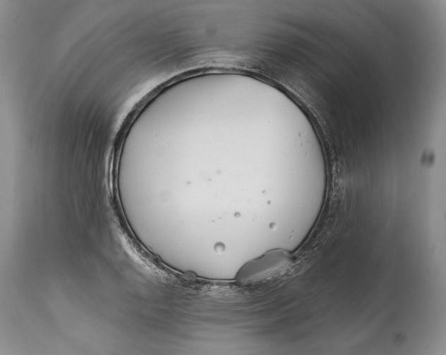 X0000113991128200910231724