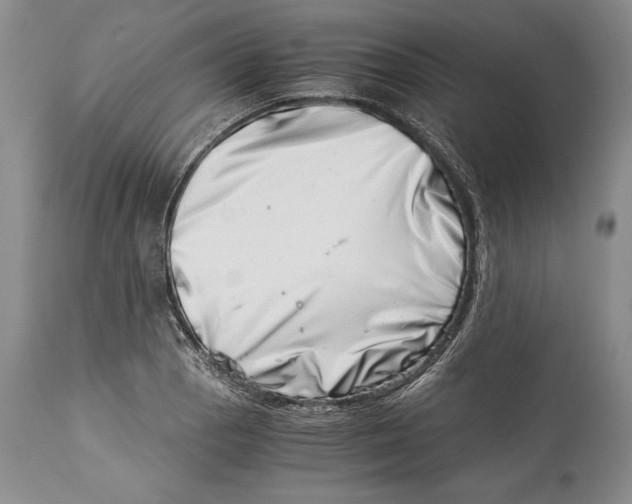 X0000113991129200910231724