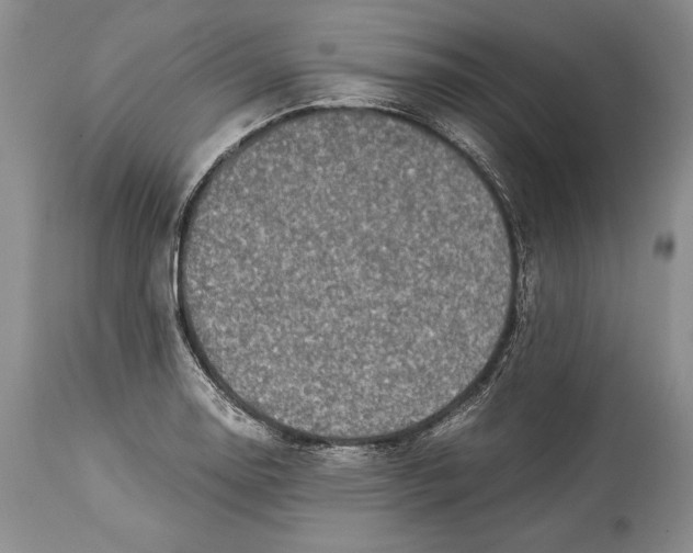 X0000113991130200910231724